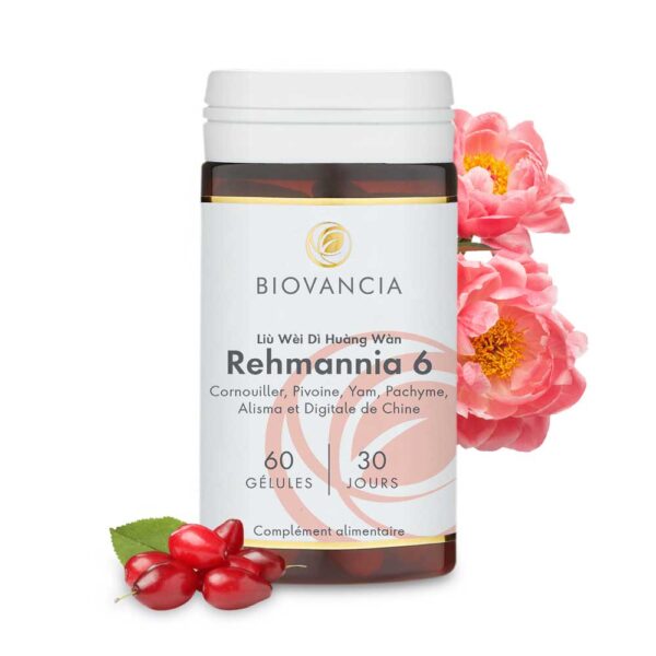 Rehmannia